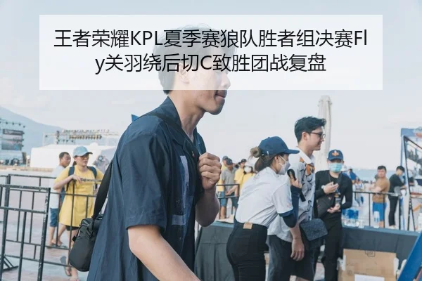 王者荣耀KPL夏季赛狼队胜者组决赛Fly关羽绕后切C致胜团战复盘