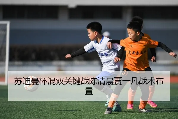 苏迪曼杯混双关键战陈清晨贾一凡战术布置