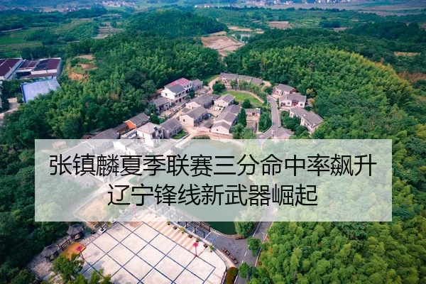 张镇麟夏季联赛三分命中率飙升 辽宁锋线新武器崛起